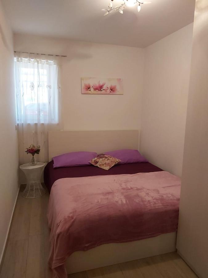 Apartmant Angel Wings * Omis